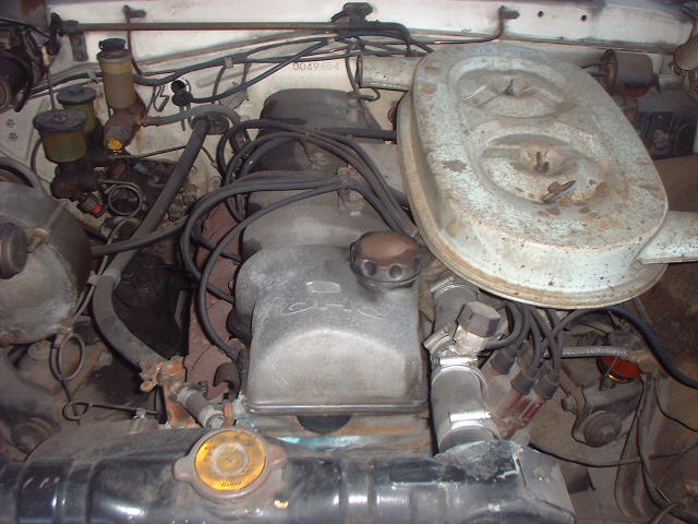 ����å��ǲ�����ɽ��