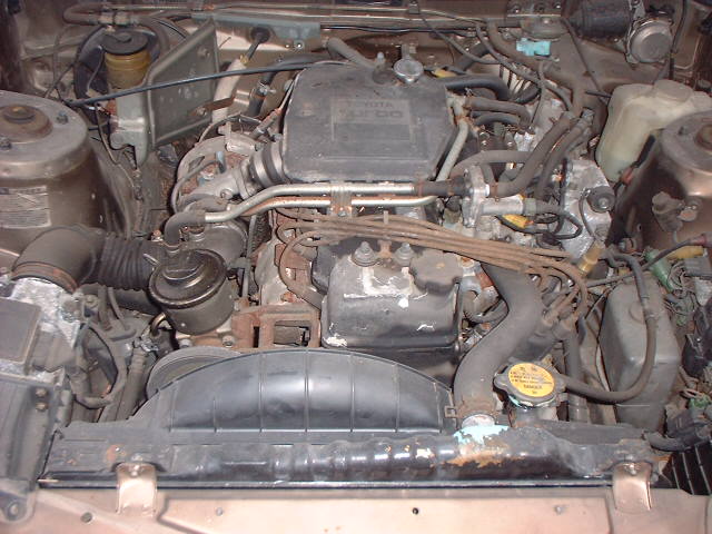 ����å��ǲ�����ɽ��