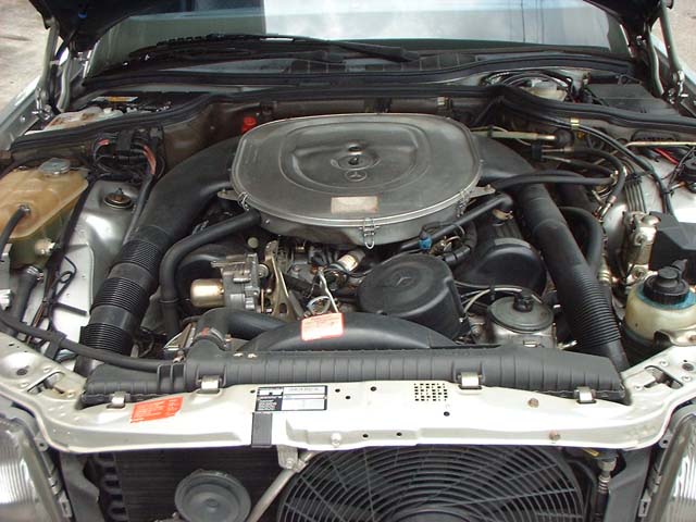 ����å��ǲ�����ɽ��