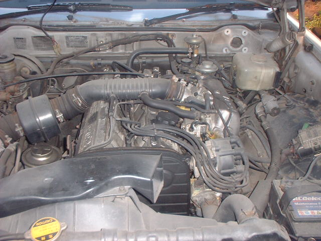 ����å��ǲ�����ɽ��