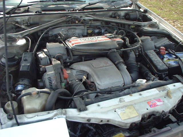 ����å��ǲ�����ɽ��