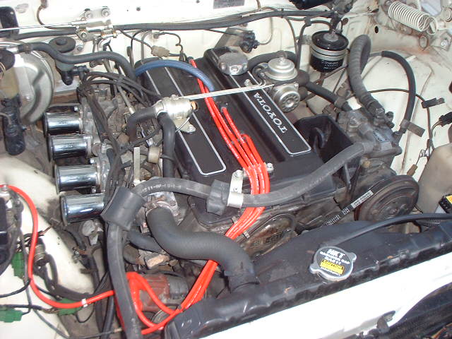 ����å��ǲ�����ɽ��