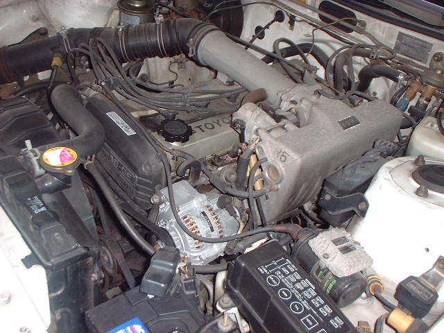 ����å��ǲ�����ɽ��