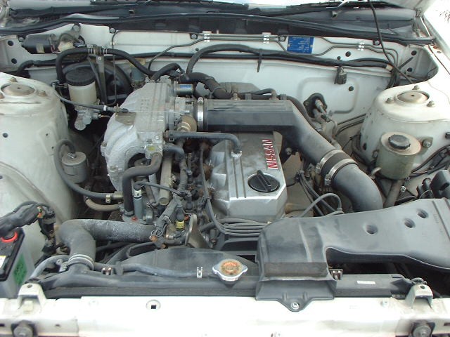 ����å��ǲ�����ɽ��